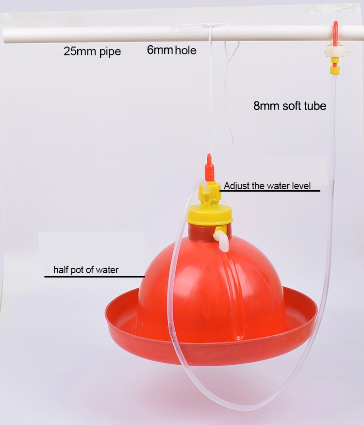 Chicken Plasson Chook Feeders And Drinkers For Poultry Waterer