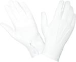 100% Nylon Cotton Hand White Parade Gloves 10.2 Inches