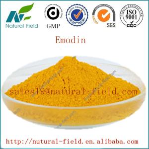 China Low price 98% emodin rhubarb extract wholesale