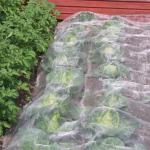 nylon greenhouse agro insect barrier net