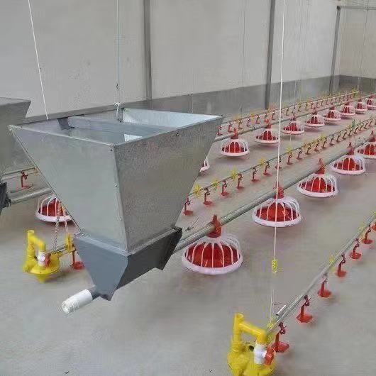 Poultry Farming Automatic Pan Feeding Nipple Cup Drinking System for Broiler Breeder Chicken House