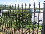 Garden Permanent Coating Wrought Iron Dog Fence 2.4x2m
