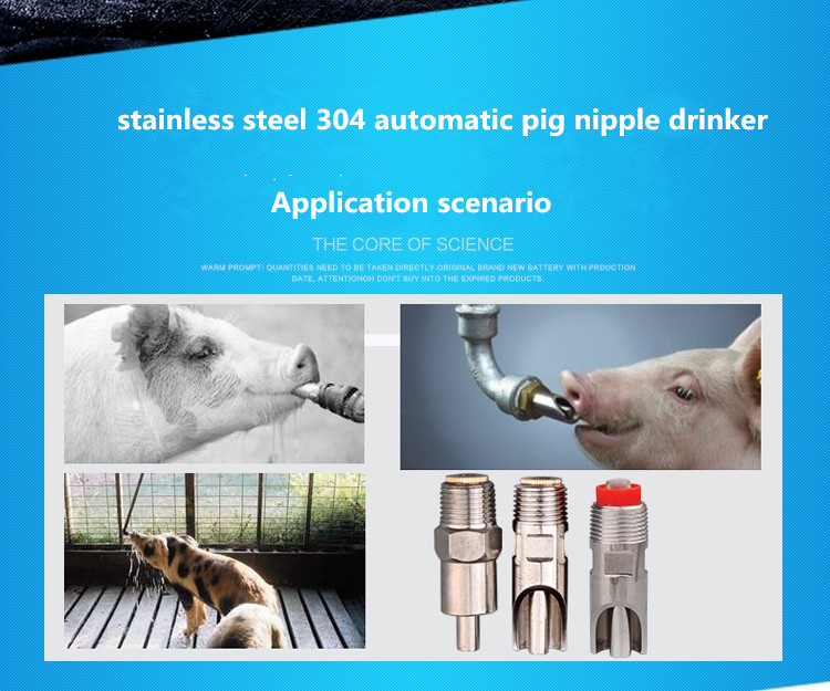Automatic Stainless Steel Ss201 Ss304 Pig Nipple Drinker
