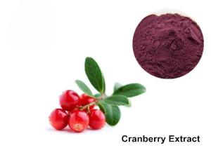 China Cranberry Fruit Purple Red 25% Anthocyanin Extract Powder wholesale