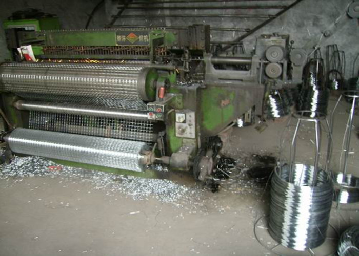 Lawn Edging BWG16 Electro Galvanized Wire Mesh Rolls