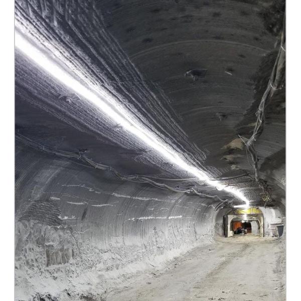 Multi-color High Brightness Led Strip Lights Waterproof 36Volt SMD5050 Cool White For Mining Tunnel Outdoor