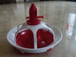Five grid feeding trays for the ducks