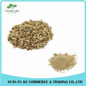 China Black Sesame Seed Extract Powder Sesamin 98 % wholesale