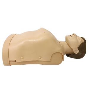 China Emergency Half Body Cpr Training Manikins 185 wholesale