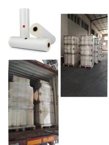 China Customized size of high-performance glossy Pet film: 16 microns -200 microns wholesale