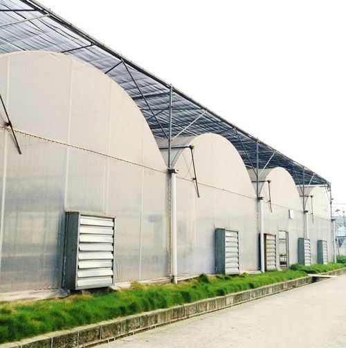 Good Price 36 40 50 Inch Industrial Ventilation Shutter Fan Greenhouse Centrifugal Exhaust Fan Electric Power Source for Poultry