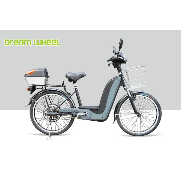 36V 350W Pedal Assist Electric Bike 24 Inch Wheel V Brake Rear Brushless Motor