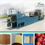 Automatic paper bag making machine YSD-1D