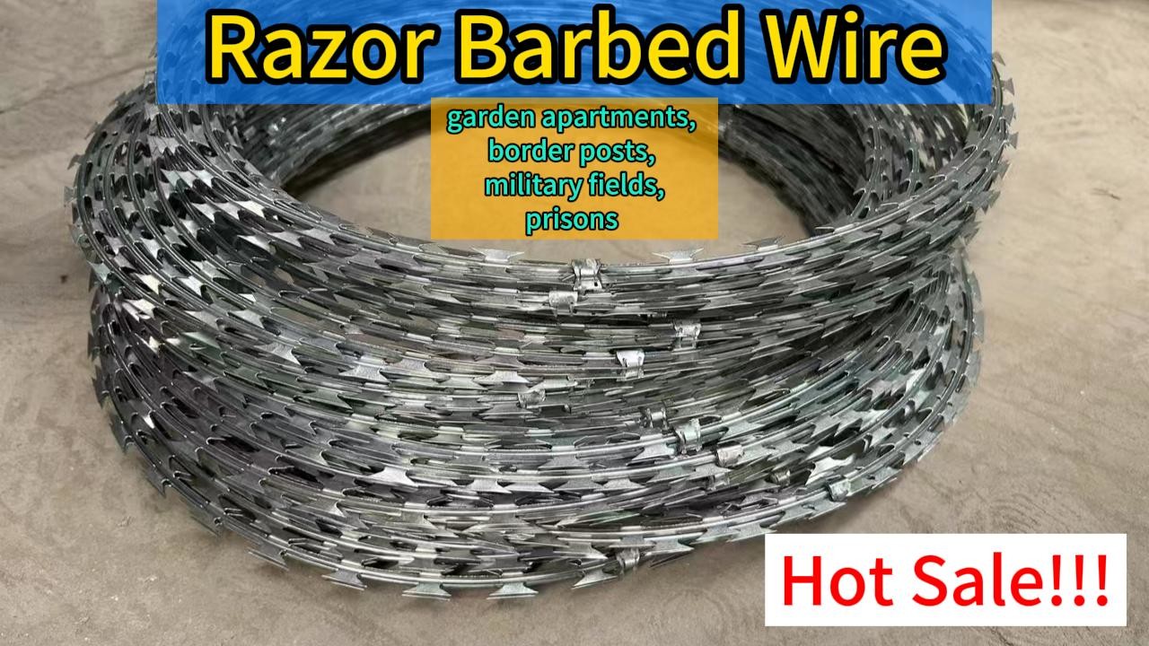 fencing Green BTO-18 razor barbed wire From Reputable