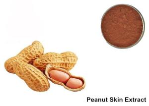 China 95% Proanthocyanidins Peanut Skin Anthocyanin Extract Powder wholesale