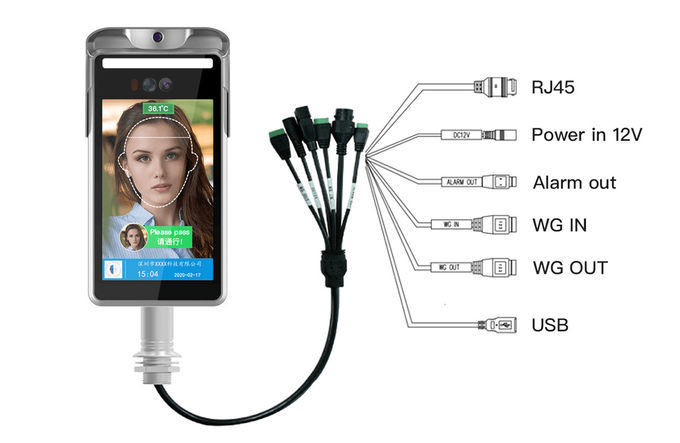Linux Ip65 Face Recognition Terminal With Temperature Measurement