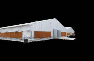 China Broiler Poultry Prefab Houses Steel Structure Fully Automated Chicken Farming Equipment wholesale
