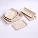 200ml Bagasse Meat Fruit Paper Compostable Meat Trays Sustainable Disposable