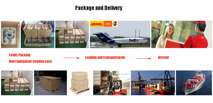 Dlas in-Situ Prob Environment Control Industrial Gas Emission Analysis Laser Gas Analyzer Test Machine