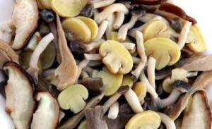 China IQF Frozen Mixed Mushroon, blanched wholesale