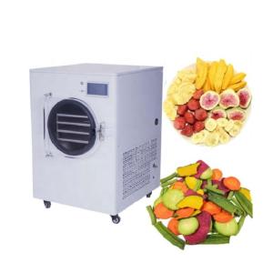 China Hotel Fruit Vegetable Food Vacuum Freeze Dryer Machine 0.1m2 750W wholesale