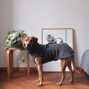 China OEM Windproof Waterproof Fleece Dog Coat Suit Machine Washable wholesale