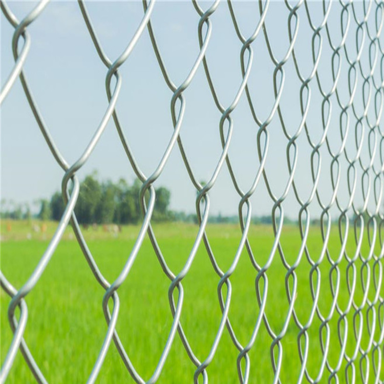 Silvery Diamond Wire Mesh Galvanized Chain Link Fence 50 Feet Length