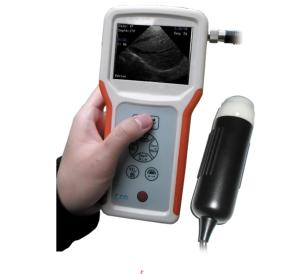 China Handheld Veterinay ultrasound scanner ultrasound machine ultrasound system wholesale