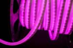 LED Flexible Neon Light Single Color Economic Type