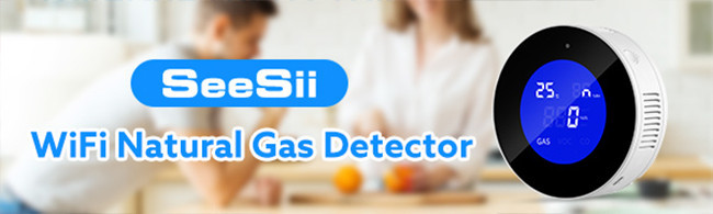 Ariza Lcd Digital Fixed Multi Gas Leak Detector , Gas Leak Sensor Alarm