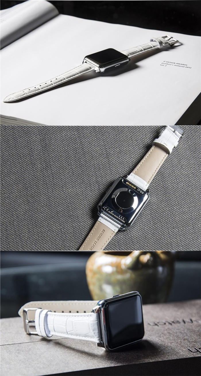 Multi-Function 2015 Smart Watch IP66 Waterproof IPS Screen With Heart Rate Fitness
