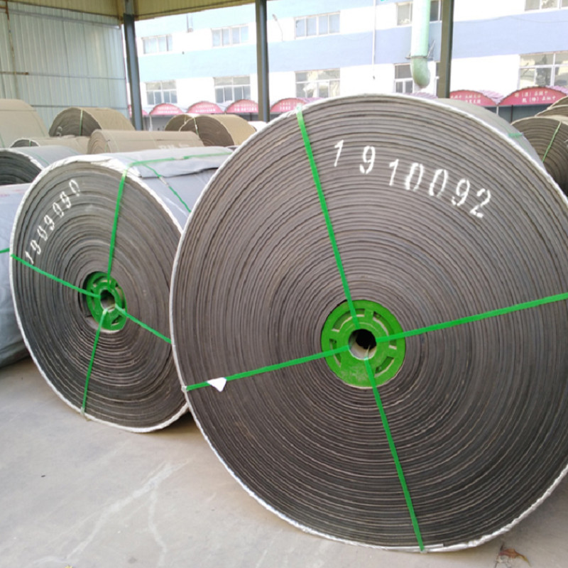 EP100 EP200 Special Conveyor Belts Chemical Resistant W700mm
