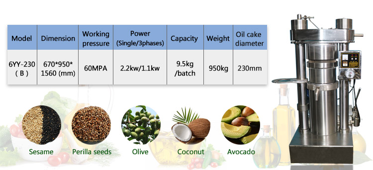 1.1 KW Avocado Oil Press Machine 60 Mpa For Small Business Shea Butter