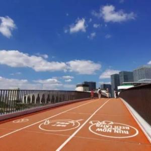 China Synthetic Park Jogging Way wholesale