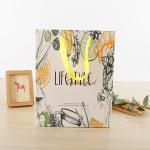 Stylish Retail Paper Shopping Bags Unique Printed For Gift Packing