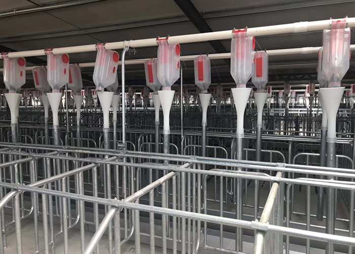 HI HOPE Swine Breeding Equipment Automatic Drinker Gestation Pens For Sows