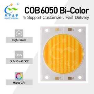 China High Lumen Output Dual Color COB LED 200W 200W 300W 300W 3838 5454 6050 Chip 2700K 6500K Ra98 For Photography Light wholesale