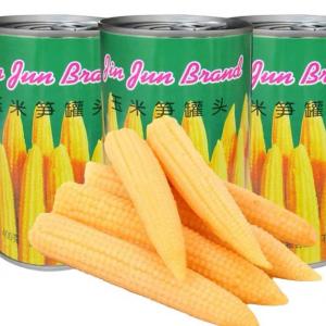 China Peeled 454g Canned Fruits Vegetables Canned Baby Corn In Brine wholesale