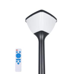 China 20w IP65 Solar Garden Light Human Body Induction For Outdoor Yard Decoration wholesale