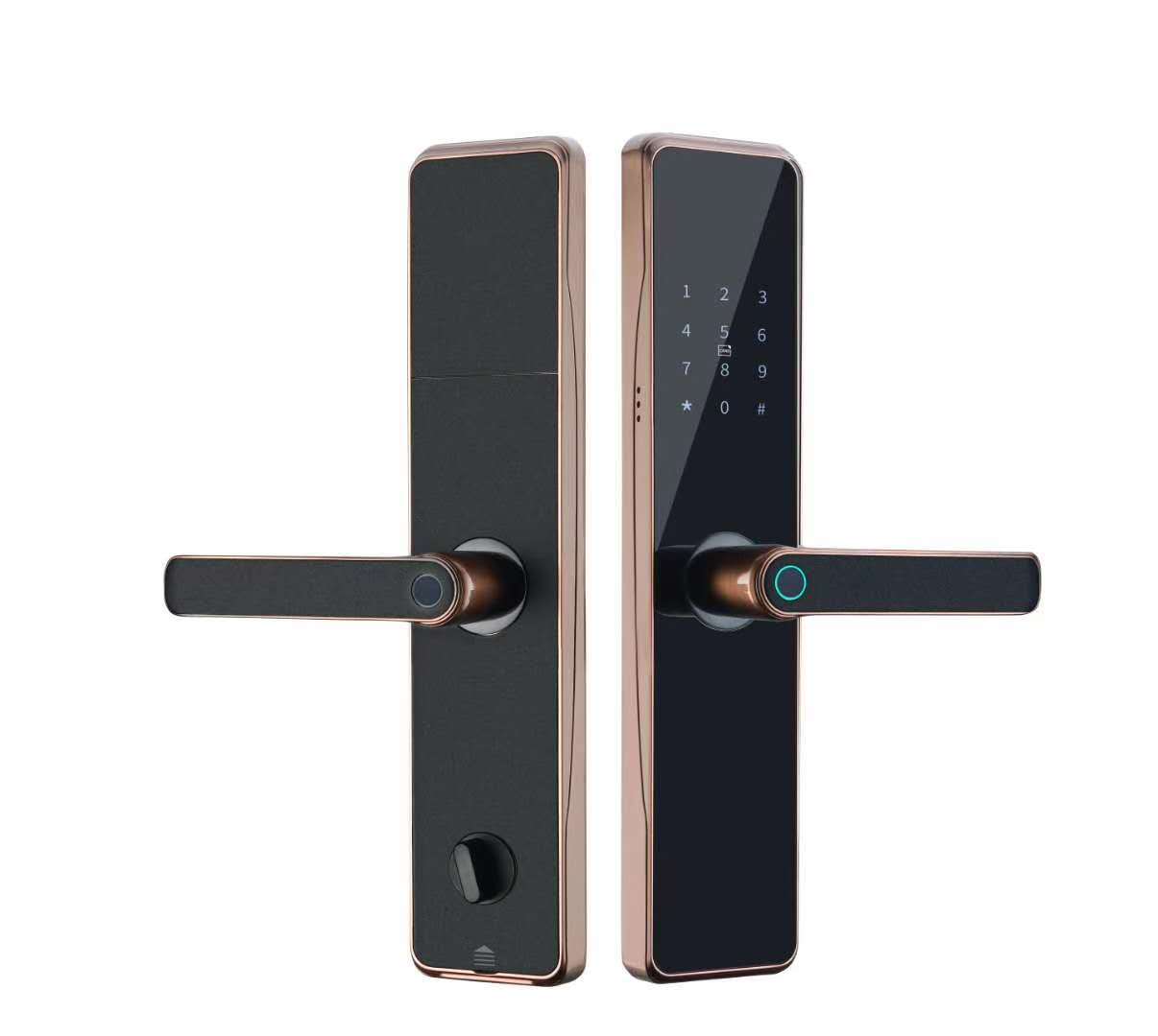 OEM ODM Black RFID Smart Door Lock With Fingerprint And Password