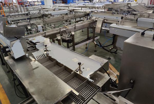 PLC Control Automatic Packaging Line For High Capacity Production 35-150 Bags