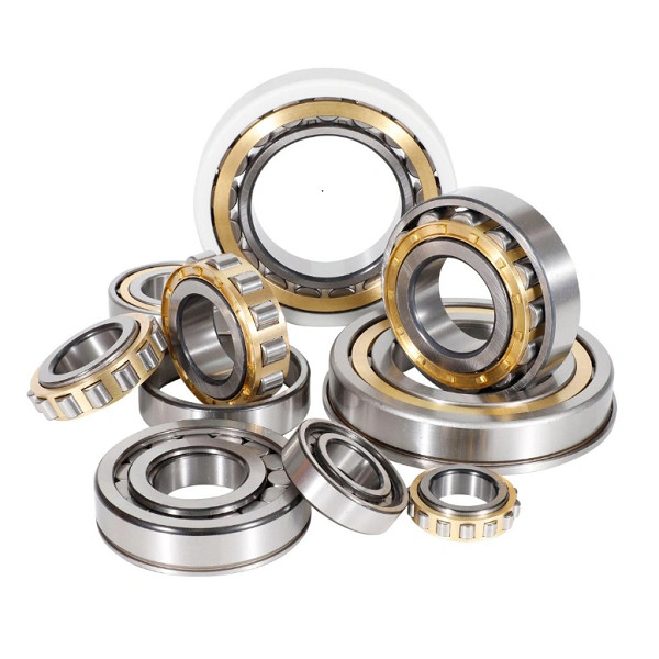 Single Row Full Complement Cylindrical Roller Bearing NJ 203-NJ 216
