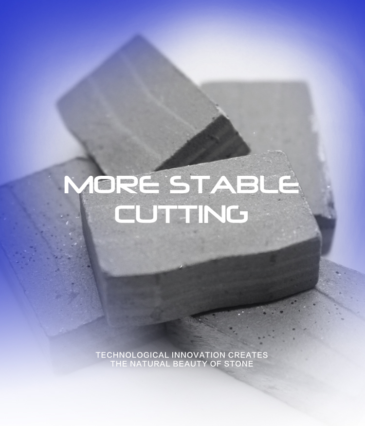 Customized Support ODM 1200mm Diamond Segments for Fast Sharp Cutting of Multi-blade