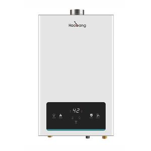 China 21KW 110V-220V Constant Temperature Gas Water Heater White 10L wholesale