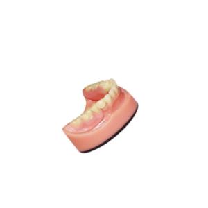 China Denture Dental lab PFM Dental Bridge 3D Digital Intraoral Scanning Imaging System wholesale