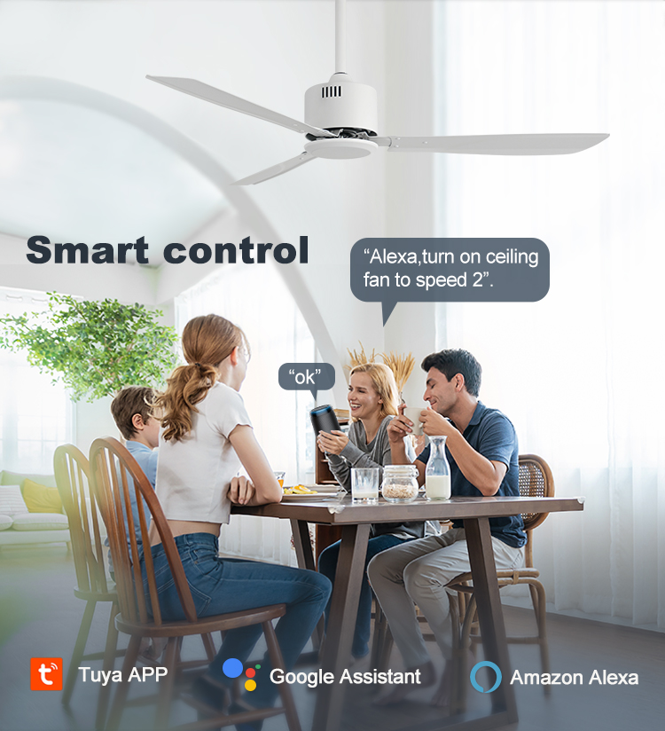 Modern Style 50 Inches Iron Blades Metal Ceiling Fan with Remote Control from 1stshine