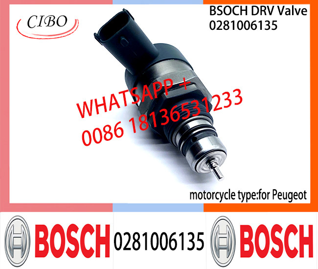 BOSCH DRV Valve 0281006135 Control Valve 0281006135 for Peugeot