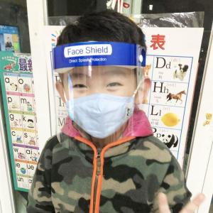 China Safety Face Shield Baffle Block Anti Droplet Dust Proof Protect Full Face Covering wholesale