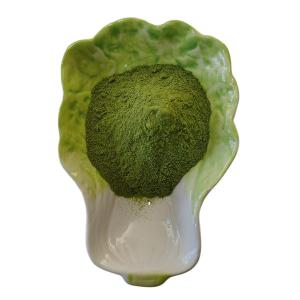 China OEM ODM Fertilizer Seaweed Polysaccharides 40% Seaweed Extract Green Powder wholesale