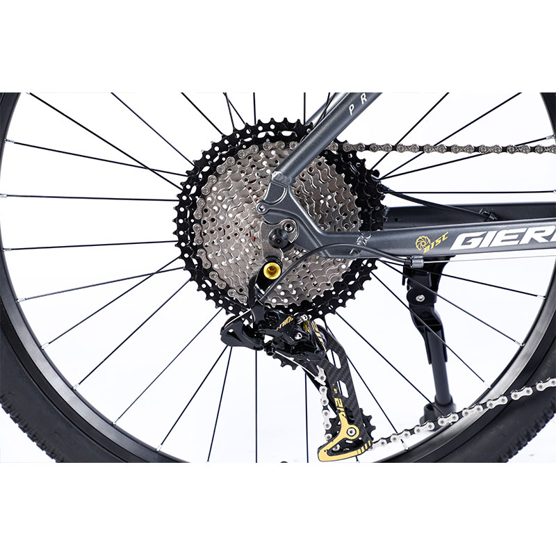 Custom Carbon Fiber Frame Mountain Bike Bicycle with Ltwoo A12 12s Gear 26/27.5/29 inch